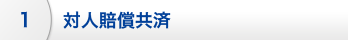 対人賠償共済
