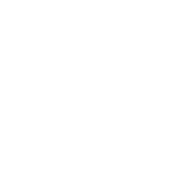 pdfアイコン