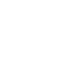 wordアイコン